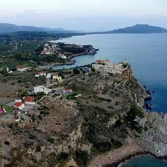 Ελιά Λακωνίας